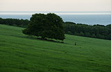 Mulgrave